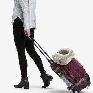 Gray Ebags Wheeled Backpack Mother Lode Carry On Luggage Kinda New